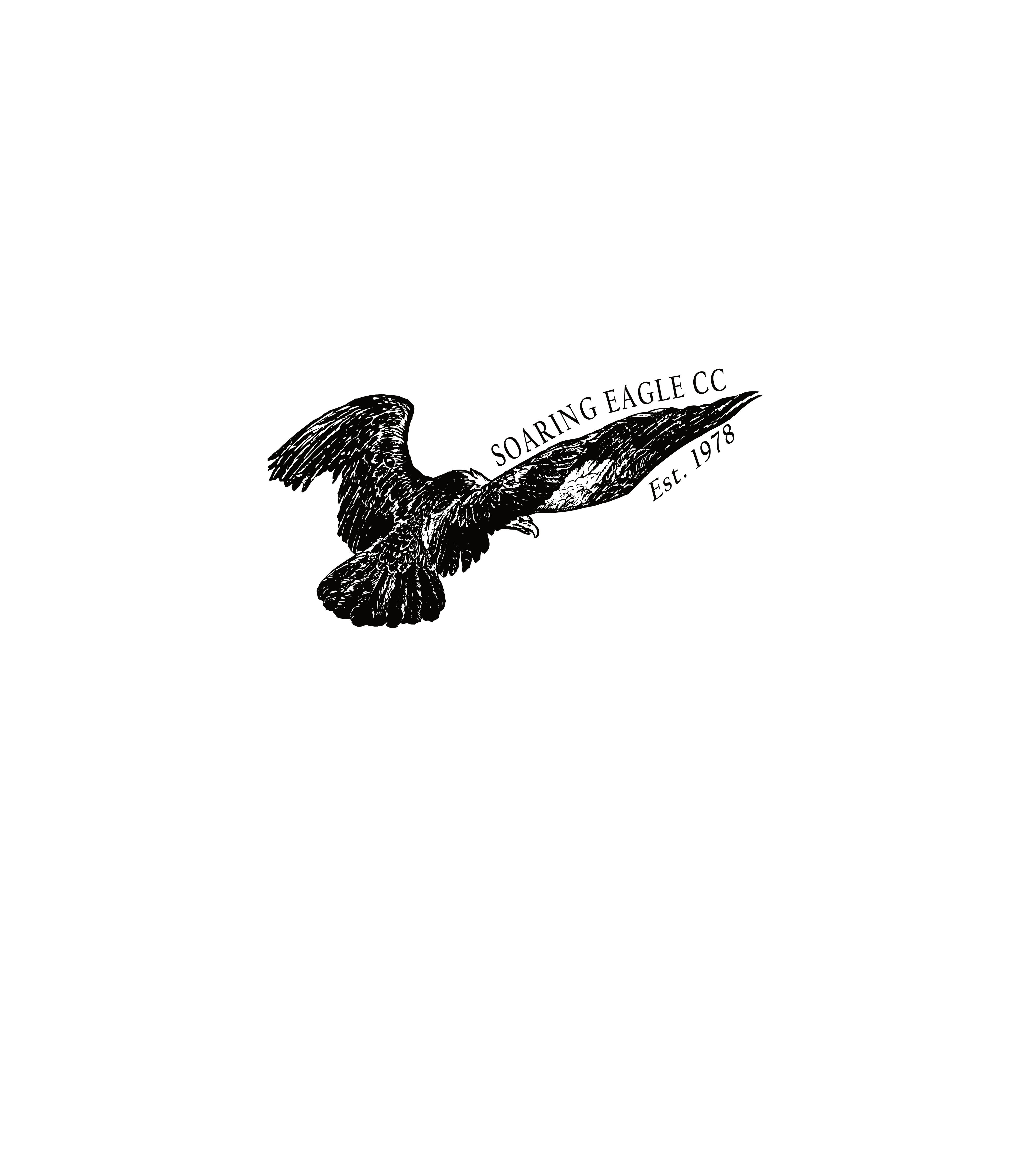 Soaring Eagle Logo
